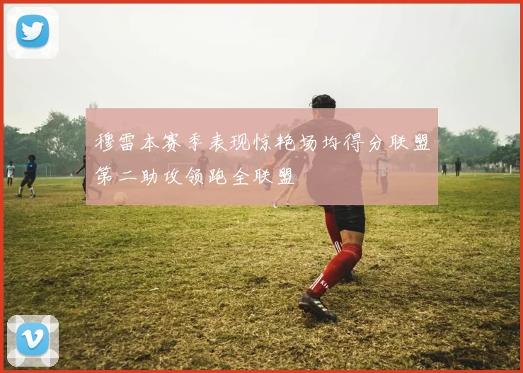 穆雷本赛季表现惊艳场均得分联盟第二助攻领跑全联盟