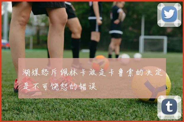 湖媒怒斥佩林卡放走卡鲁索的决定是不可饶恕的错误