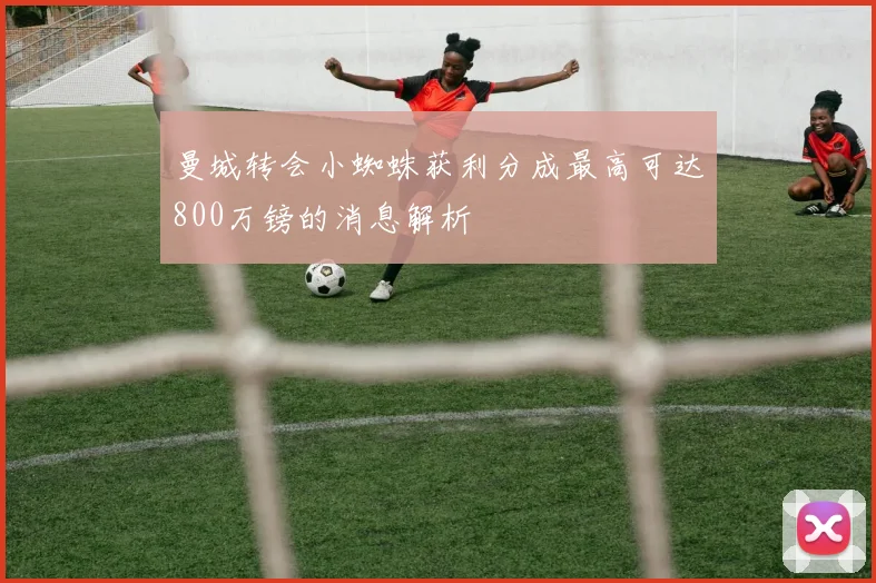 曼城转会小蜘蛛获利分成最高可达800万镑的消息解析