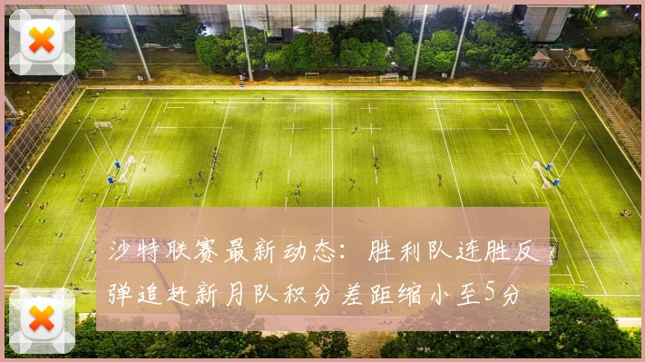 沙特联赛最新动态：胜利队连胜反弹追赶新月队积分差距缩小至5分